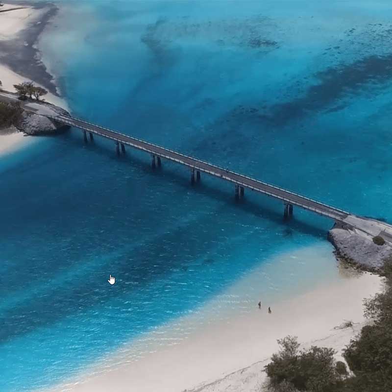 Lekiny bridge in New Caledonia